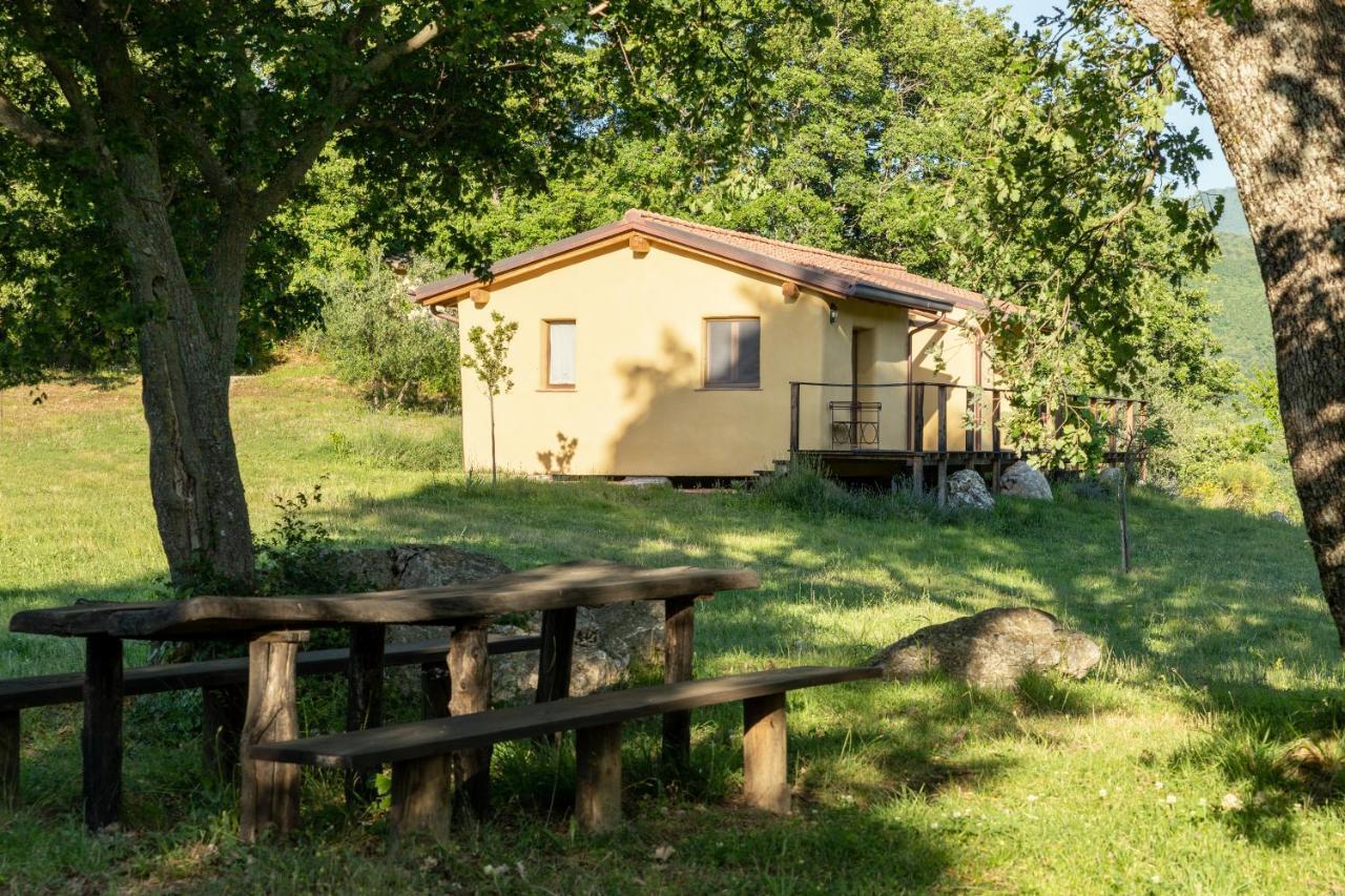 Agriturismo Le Pianore Cinigiano Esterno foto