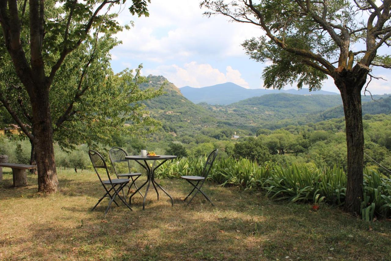 Agriturismo Le Pianore Cinigiano Esterno foto