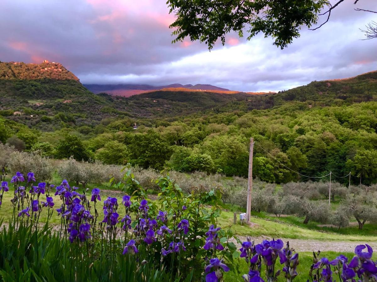 Agriturismo Le Pianore Cinigiano Esterno foto