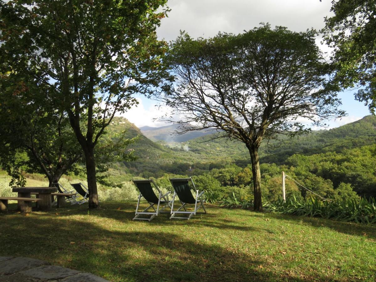 Agriturismo Le Pianore Cinigiano Esterno foto